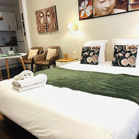 Zen Cosy Gare Part Dieu ليون